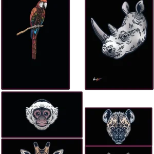 Rhinocéros d'Afrique