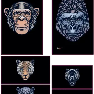 Sauvages d’Afrique – Fierté du Continent