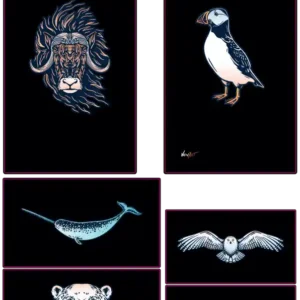 Créatures Polaires – Glace et Silence