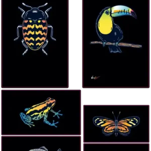 Créatures Lumineuses – Douceur Animale