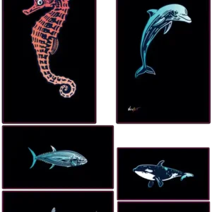 Océans Sauvages – Éclat Aquatique