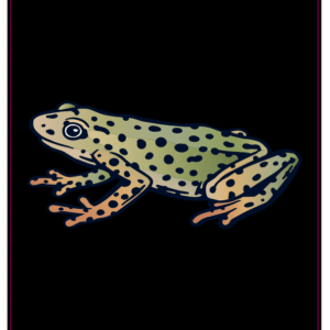 Grenouille Tropicale de Rio