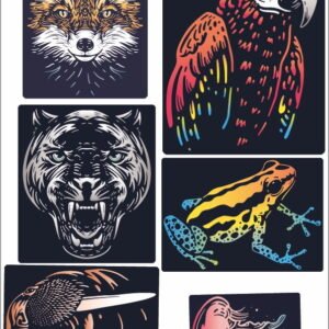 Animaux Color